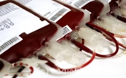 doar_sangue.jpg