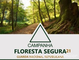 FlorestaSeguraGNR2021