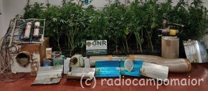 GNR Portalegre - Apreensão cannabis2fev