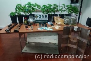 GNR Portalegre - Apreensão cannabis Campo Maior