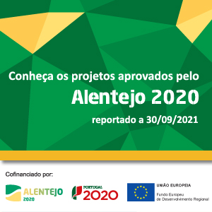 CCDR Alentejo 2020 3 trim