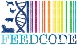 FeedCode_COLOR_logo