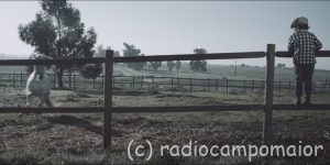 Video Alentejo