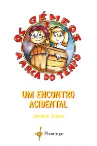 Livro Um Encontro Acidental