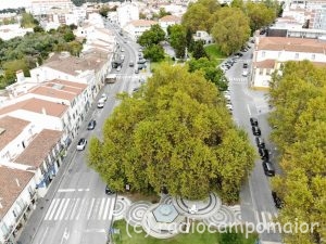 PlatanoPortalegre