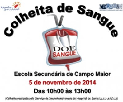 ColheitaSangue5Novembro