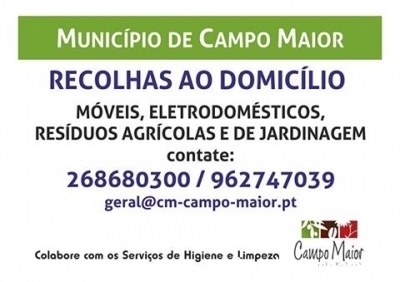 Monos_CampoMaior