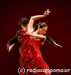 flamenco