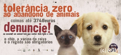 Abandono_animais