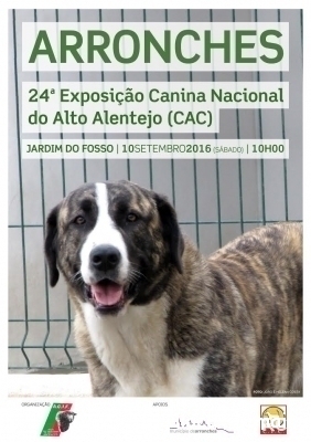 ExpCaninaArronches10Setembro2016