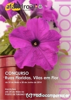 RuasFloridas2014