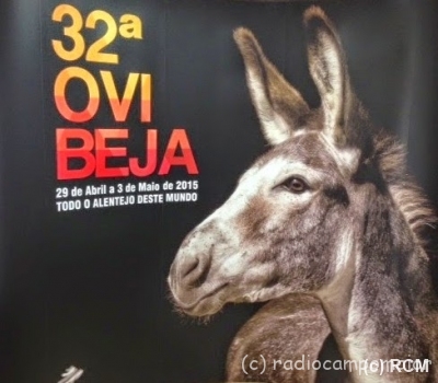 32Ovibeja