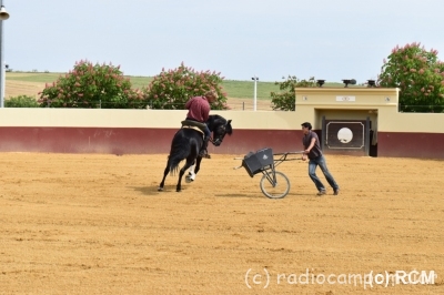 Treino5Maio2016A