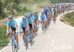 voltaalgarve