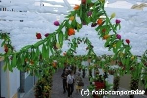 Festas_do_Pevo_2015_Campo_MaiorB.jpg