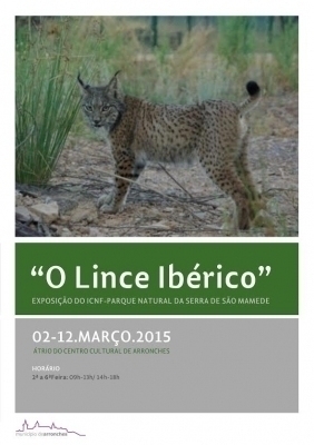 LinceIbericoExposicao