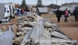 Bacalhau1