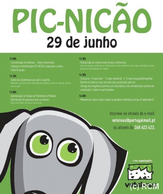 PicnicaoVetelvas