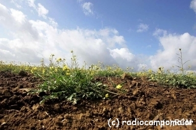 SecaAlentejo