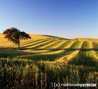 Alentejo1