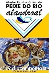 alandroalpeixedorio