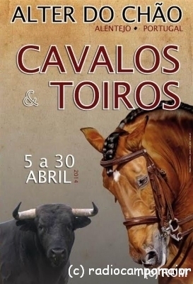 cavalostoiros