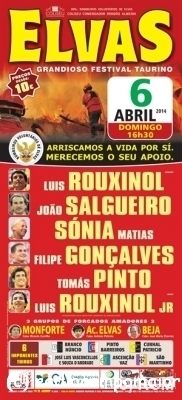 elvasfestivaltaurino