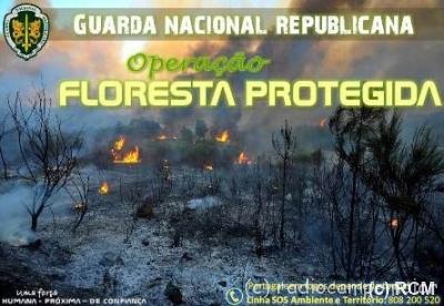 GNRFlorestaProtegida